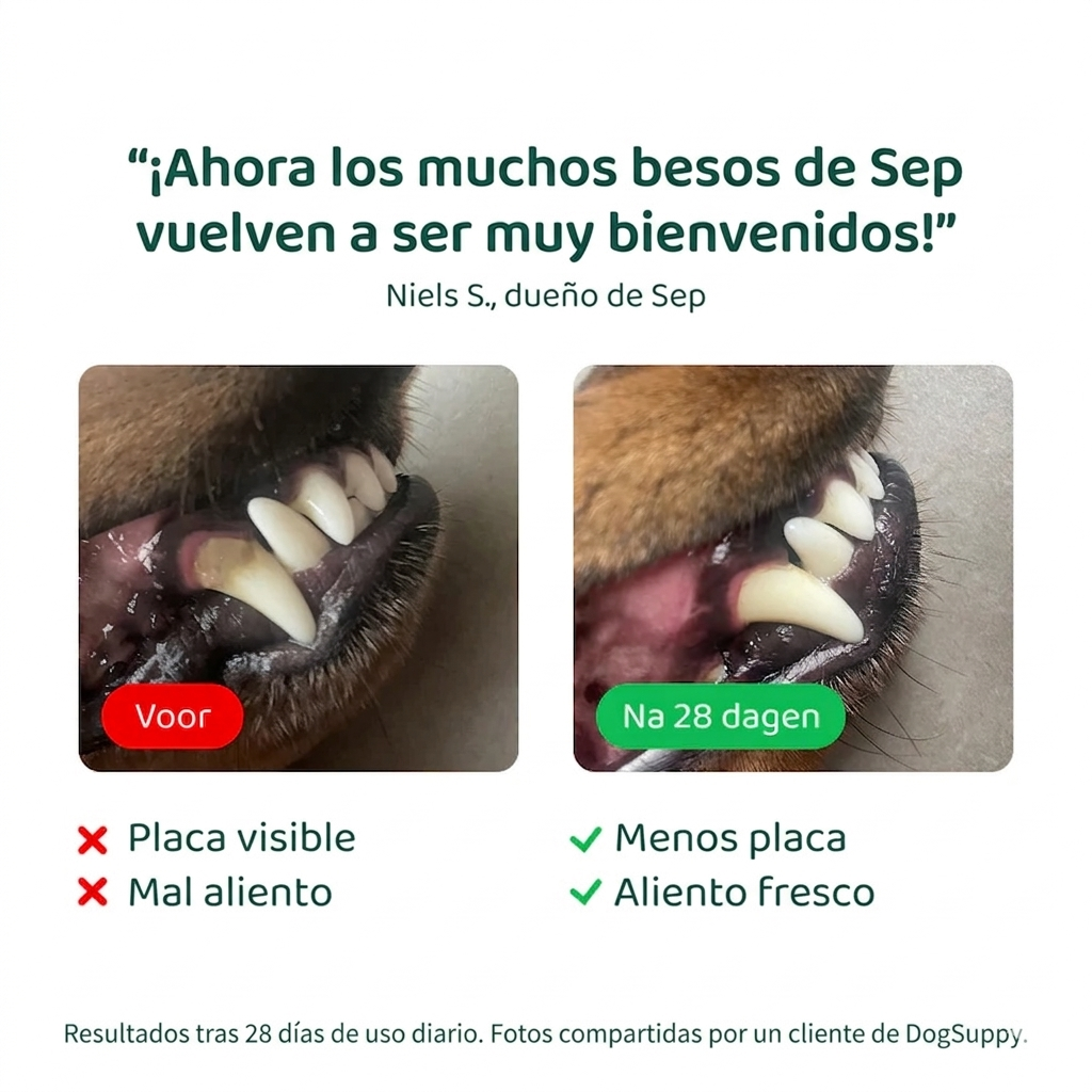 Dogsuppy