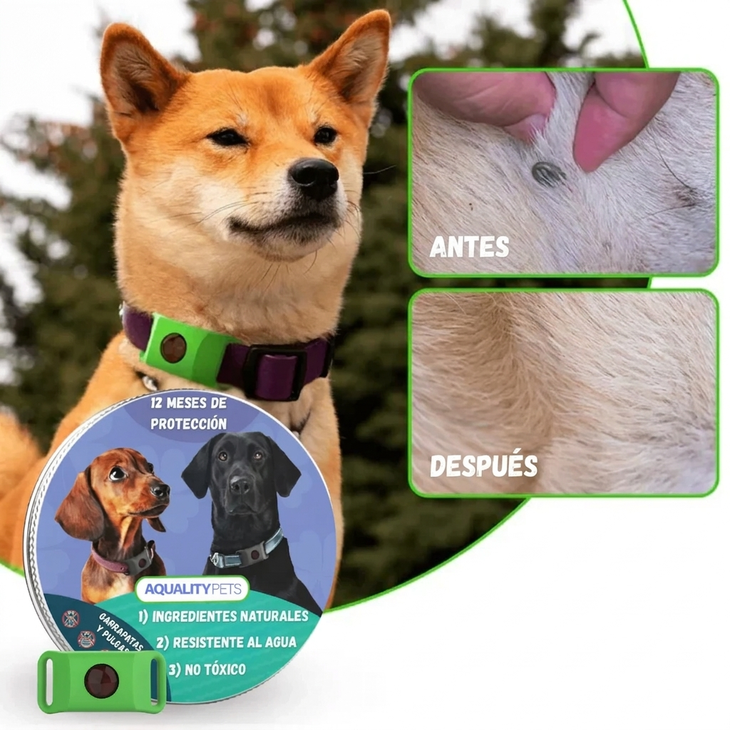 Anti-teek