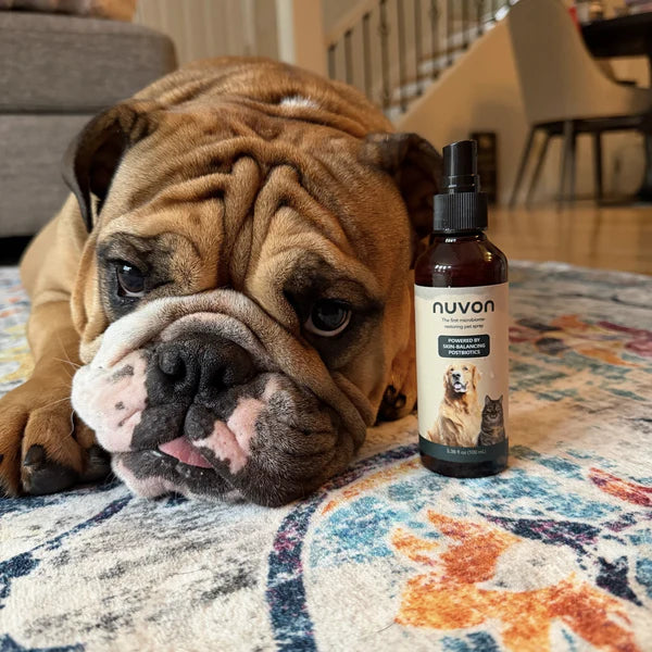 Pet spray